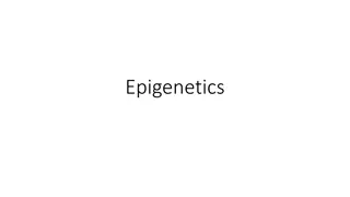 Epigenetics: DNA Methylation and Histone Modification