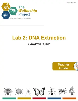 Lab 2: DNA Extraction Techniques for Arthropods and Wolbachia