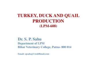 Turkey, Duck, and Quail Production Overview