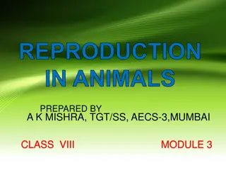 Understanding Reproduction in Animals: Viviparous and Oviparous Examples