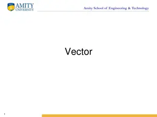Understanding Amity School of Engineering & Technology Vectors in Java