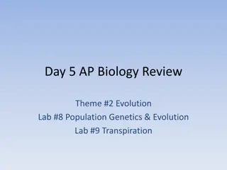 Evolutionary Insights: AP Biology Review on Population Genetics and Natural Selection