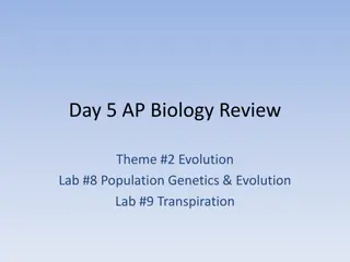 Evolution and Population Genetics in AP Biology