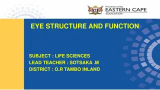 Structure and Function of the Human Eye in Life Sciences