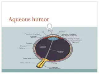 Role of Aqueous Humor in Eye Health