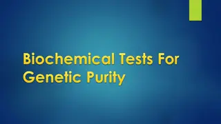 Genetic Purity Testing Methods in Agriculture