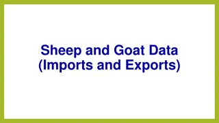 Insights on Sheep and Goat Data Trends: Imports, Exports, and Prices