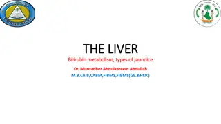 Understanding Bilirubin Metabolism and Different Types of Jaundice
