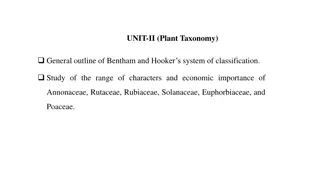Overview of Bentham and Hooker's Classification System in Plant Taxonomy