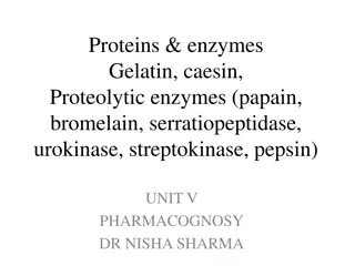 Proteins and Enzymes: Classification, Sources, and Applications