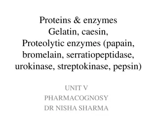 Understanding Proteins and Enzymes: Classification, Sources, and Applications