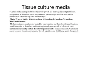 Plant Tissue Culture Media and Their Importance in In Vitro Growth