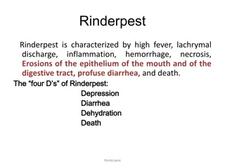 Understanding Rinderpest: Symptoms, Transmission, and Host Range