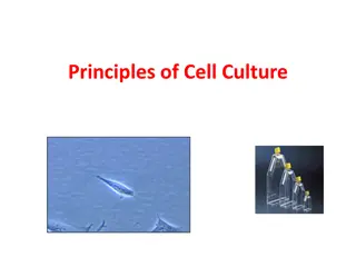 Overview of Cell Culture Methods and Importance in Research
