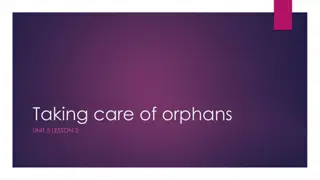 Importance of Taking Care of Orphans in Islam