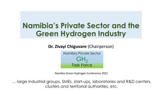 Namibia Private Sector's Role in Green Hydrogen Industry Development