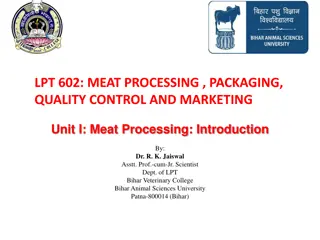 Meat Processing: From Ancient Techniques to Modern Innovations