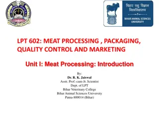 Understanding Meat Processing: From Ancient Techniques to Modern Innovations