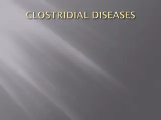 Overview of Clostridial Diseases Caused by Clostridium Bacteria