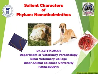 Overview of Nemathelminthes: Salient Characters and General Characteristics