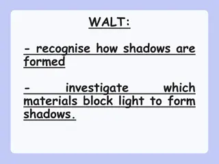 Understanding Shadows and Light Interaction for Kids