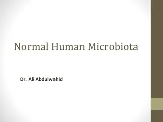 Understanding Normal Human Microbiota and Its Role in Health