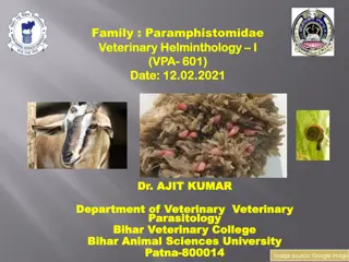 Overview of Paramphistomidae in Veterinary Helminthology at Bihar Animal Sciences University