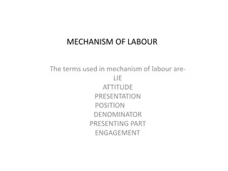 Understanding the Mechanism of Labour: Key Terms and Concepts