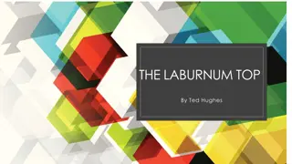 The Laburnum Top by Ted Hughes - Symbolism of Life and Fluctuations