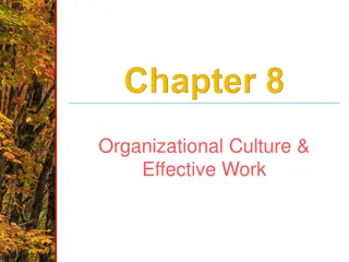 Insights into Organizational Culture and Effective Work Practices