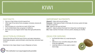 Fun Facts and Activities about Kiwi Fruit