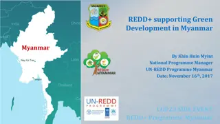 Promoting Green Development Through REDD+ in Myanmar
