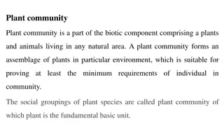 Plant Communities and Their Characteristics