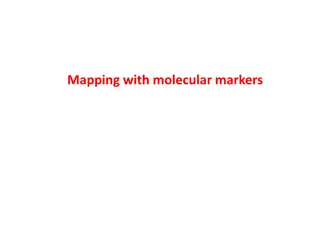 Genetic Markers in Molecular Mapping