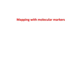 Understanding Genetic Markers in Molecular Mapping