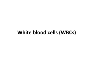 White Blood Cells and Their Classification