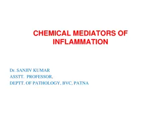 Overview of Chemical Mediators of Inflammation and Their Roles