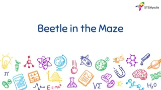 Creating an Animated Maze Game with Beetle in PictoBlox