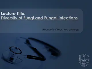 Fungi Diversity and Infections in Microbiology