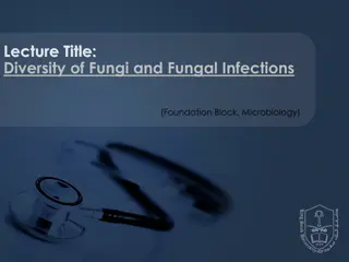 Understanding Fungi Diversity and Infections in Microbiology