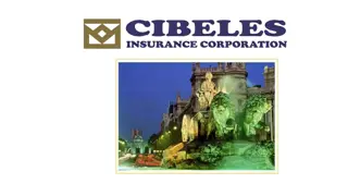 CIBELES Company Profile and Leadership Team Overview