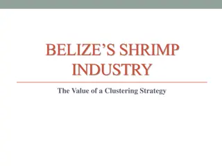 Enhancing Belize's Shrimp Industry Through Clustering Strategies