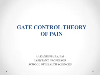 The Gate Control Theory of Pain in Pain Management