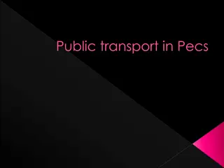 Public Transport Information in Pécs