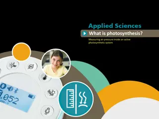 Exploring Photosynthesis Through Air Pressure Measurement in Active Systems