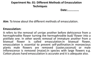 Different Emasculation Techniques in Plant Breeding