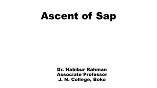 Mechanisms of Sap Ascent in Plants Explained