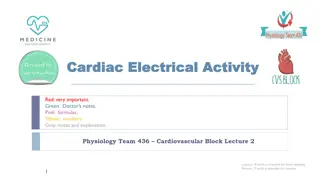 Cardiac Electrical Activity in Physiology Team's Cardiovascular Block Lecture