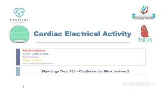 Understanding Cardiac Electrical Activity in Physiology Team's Cardiovascular Block Lecture