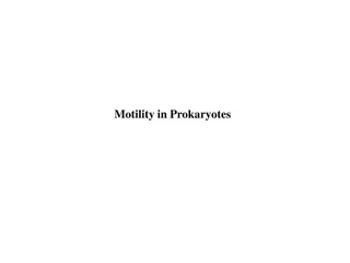 Motility in Prokaryotes: Flagellar, Spirochaetial, and Gliding Movements